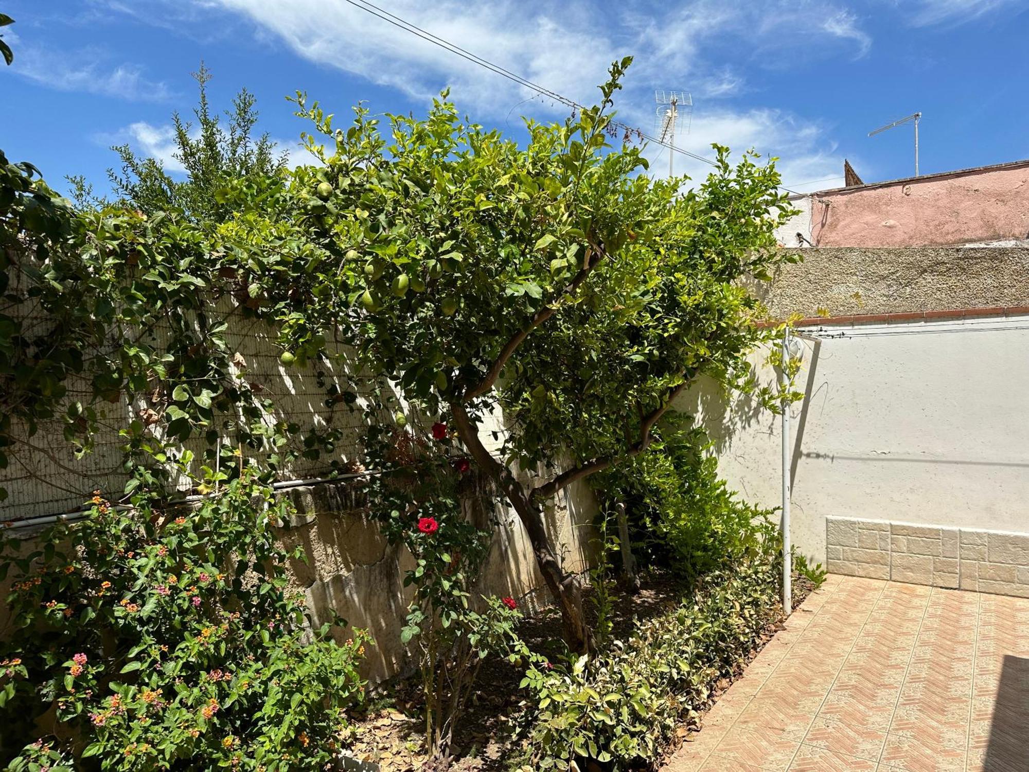 Villa San Leo San Leone Eksteriør billede